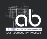 AB PROMOTION IMMOBILIERE