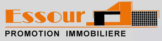 PROMOTION IMMOBILIERE ESSOUR
