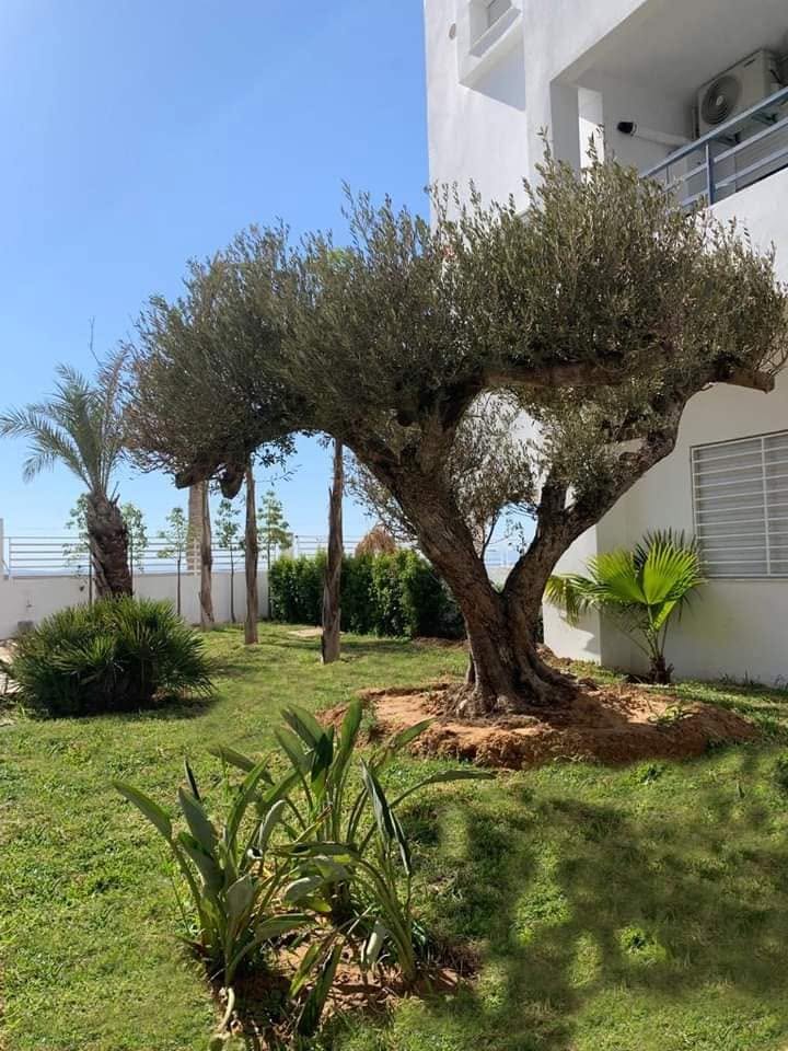Les Terrasses de Hergla
